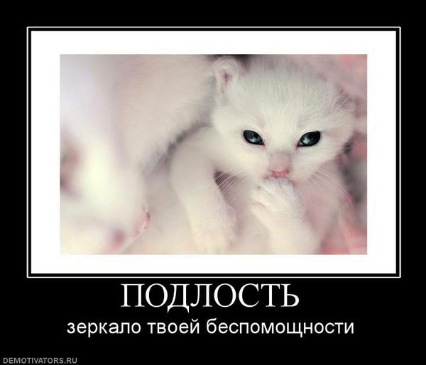 Мария Миледи