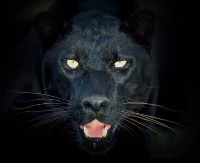 Lyudmyla Просто