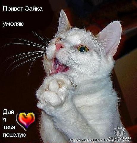 Наталья Огородникова