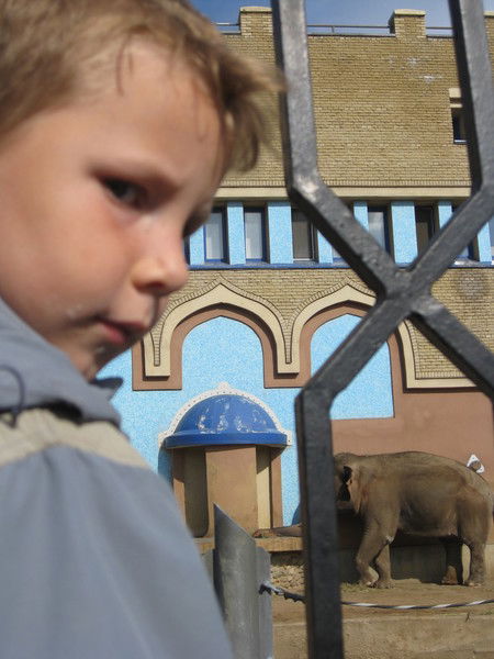 Сергей Литовченко