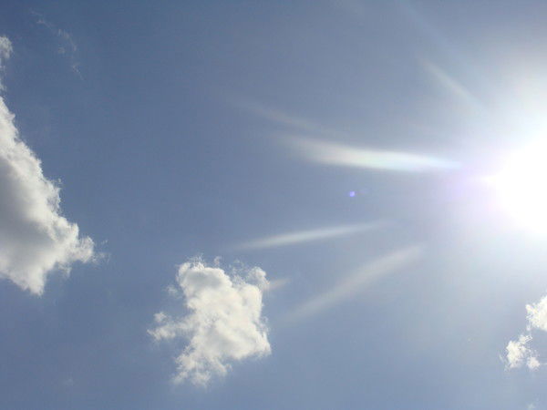 Елена Апрель