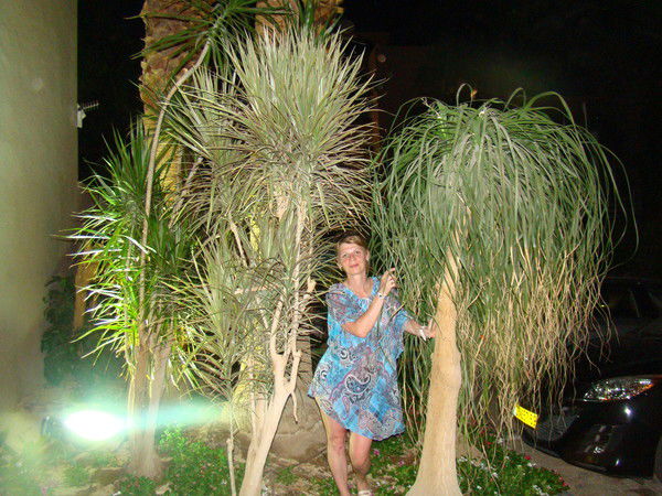 Ирина Васильева