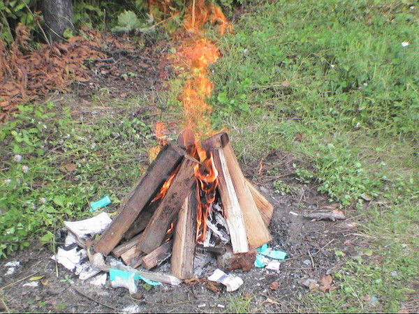 Петр Никулин