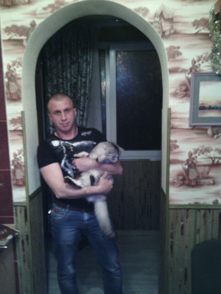 Василий Яворский