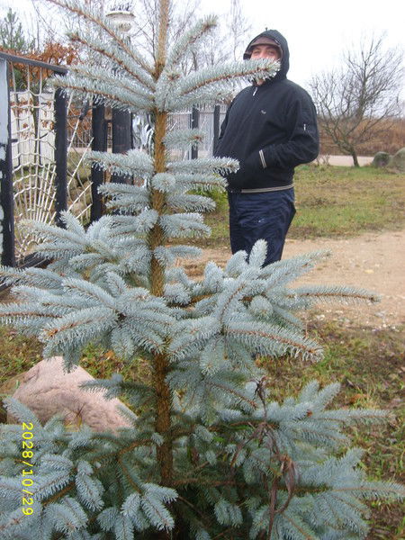 Виктор Ефременко