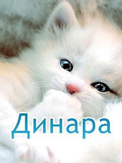 Динара Ахметжанова