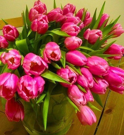 Лена Страхова