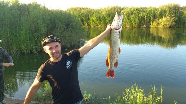 Евгений Морозов