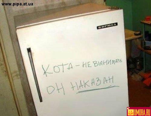 Дмитрий Кузин