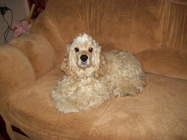 Виктория Рыбак