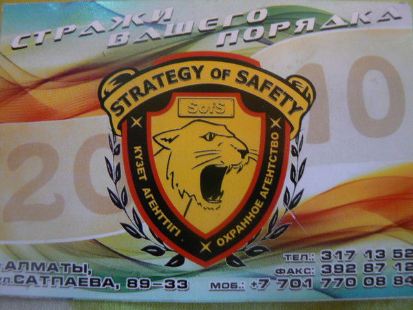 Охранное Агентство Strategy Of Safety