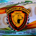 Охранное Агентство Strategy Of Safety