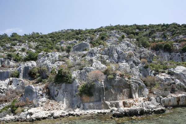 Света Ильина