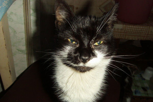 Стася Смирнова