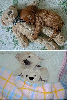 Шолпан Идрисова