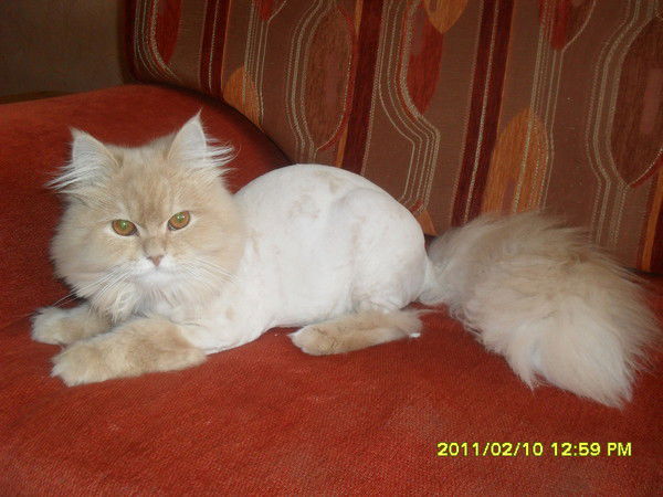 Ольга Интяпина