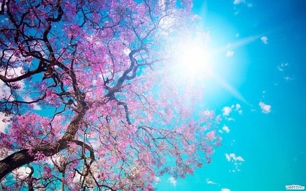 Татьяна Богданова