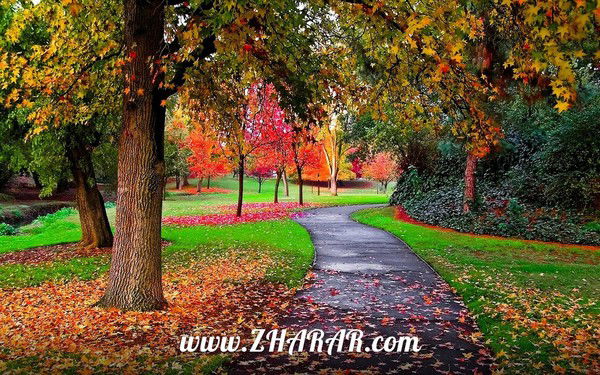 Жазира Сериккалиева