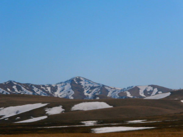 Николай Чмыхов