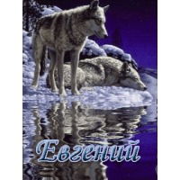 Евгений Изосимов