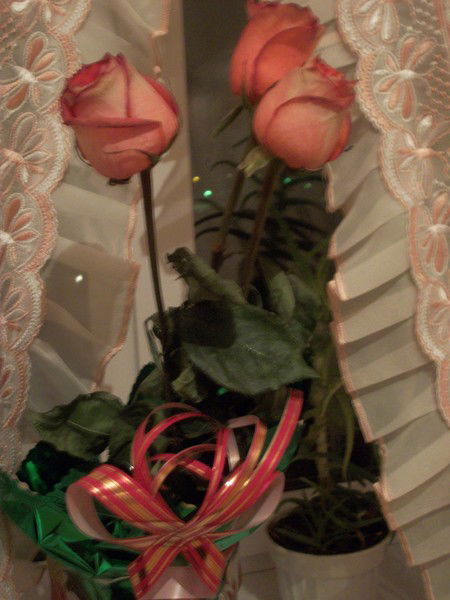 Алвай Сарсенбаева