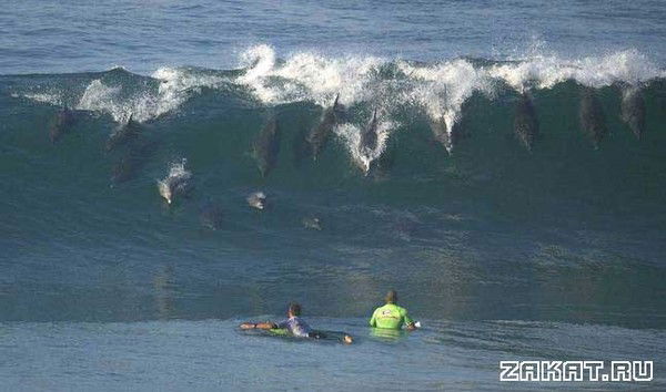 Андрей Силин