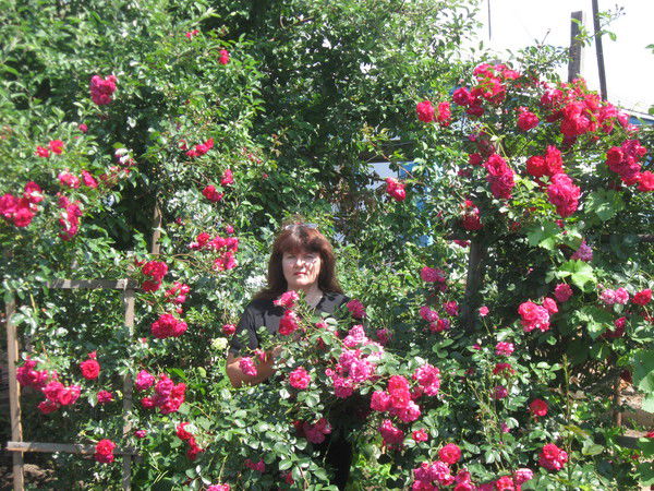 Татьяна Захарченко