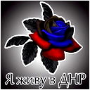 Михаил Донбас