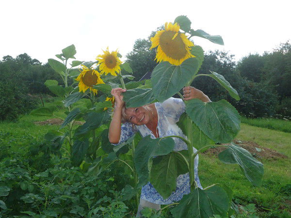 Елена Николаевна