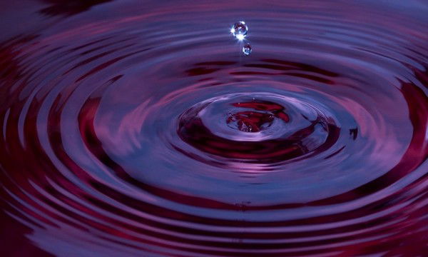 Вася Плеханов