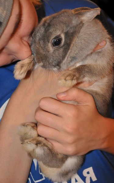 Сашулька Трубникова