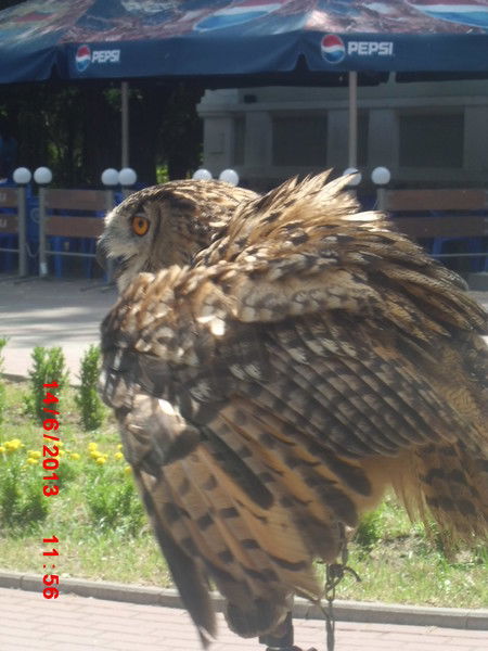 Евгений Братусь