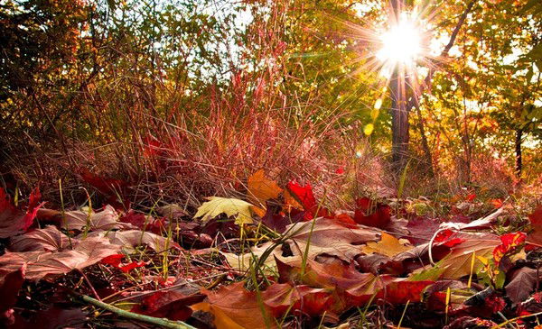 Галина Нуждина