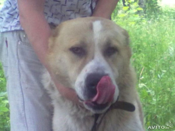 Irina Konstantinovna