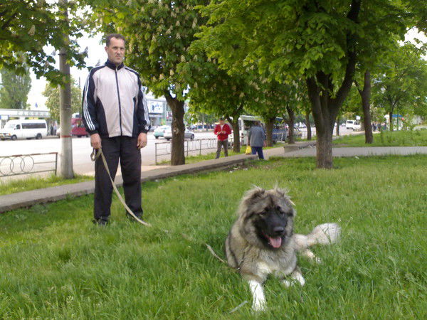 Виталий Ущиповский