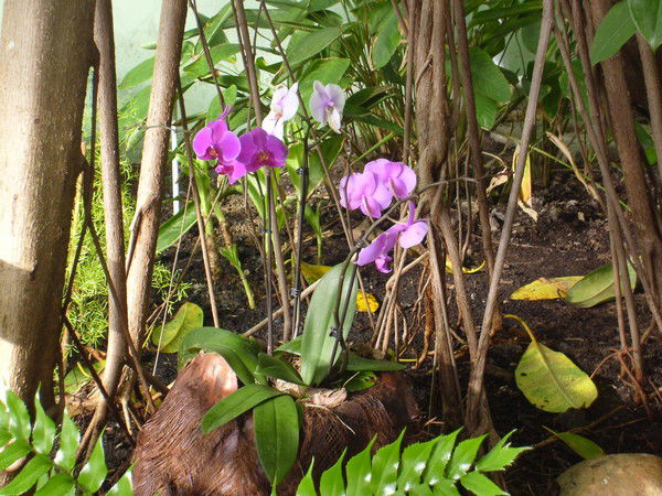 Марина Тронина