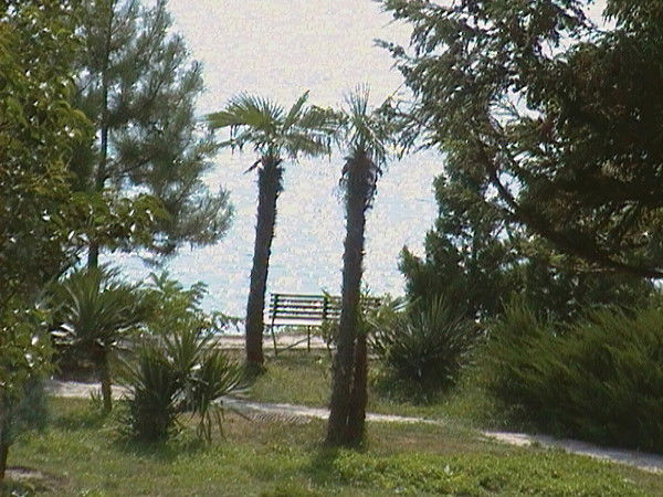 Алексей Фирсов