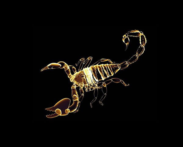 Виталий Домашевский