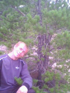 Фёдор Гольц