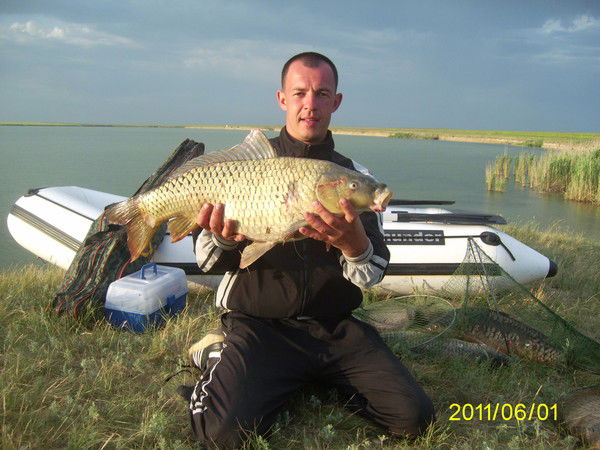 Виталий Панин