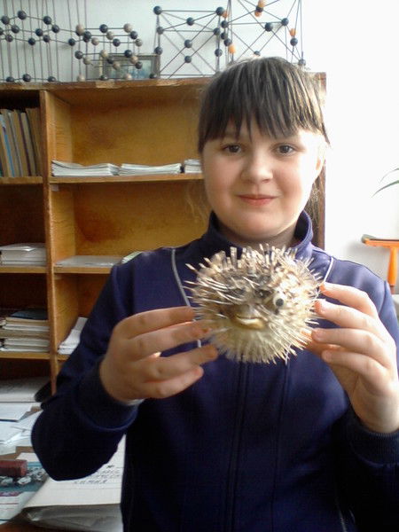 Юличка Данилейко