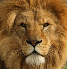 Юрий Жуманов