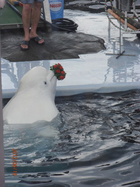 Татьяна Дубова