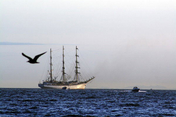 Павел Мальцев