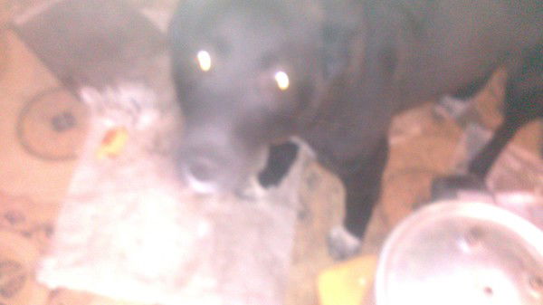 Александр Белоусов