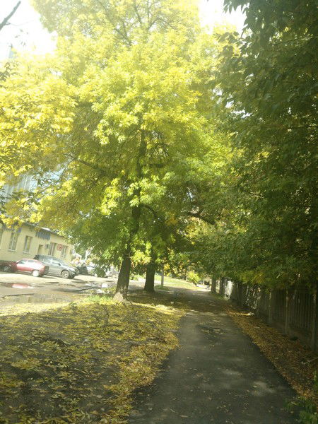 Тамара Шиян