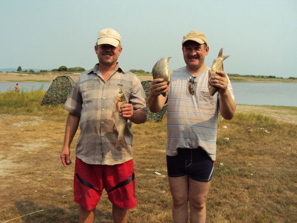 Виталий Решетник