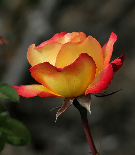 Наталья Феоктистова