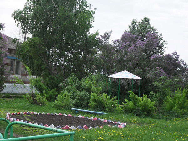 Марина Шачнева