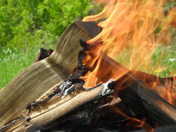 Дина Кудьявина